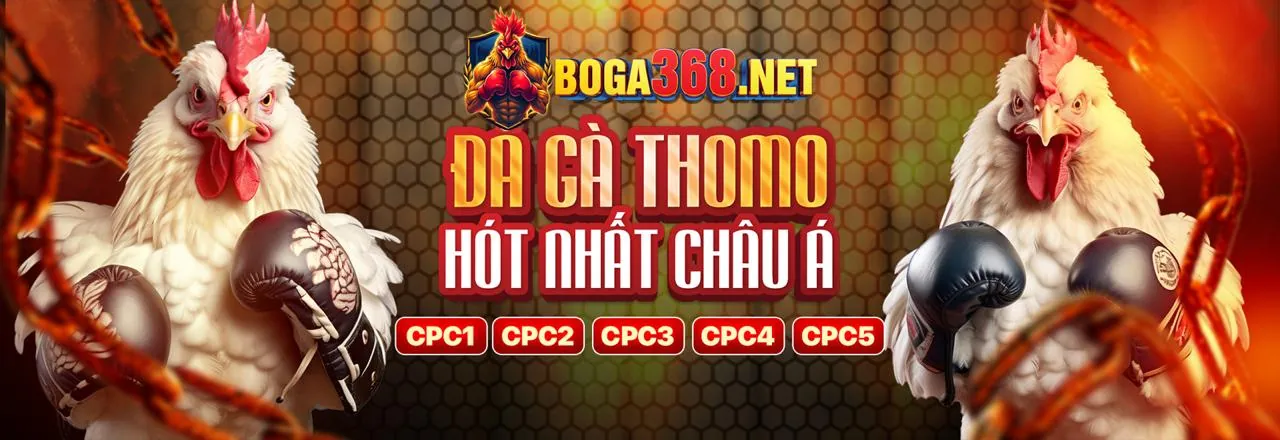 Đá gà trực tuyến 68win1 với trận đấu kịch tính